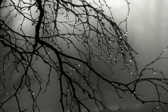 Йдуть дощові фронти: синоптик дала 'противний' прогноз погоди в Україні