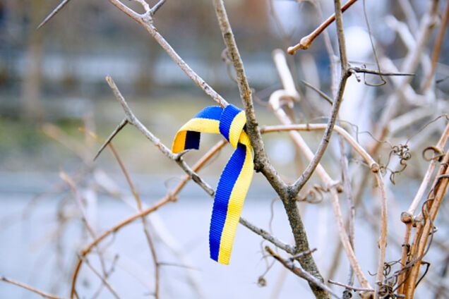 Пока они кукарекали, Украина формировала силовой аппарат