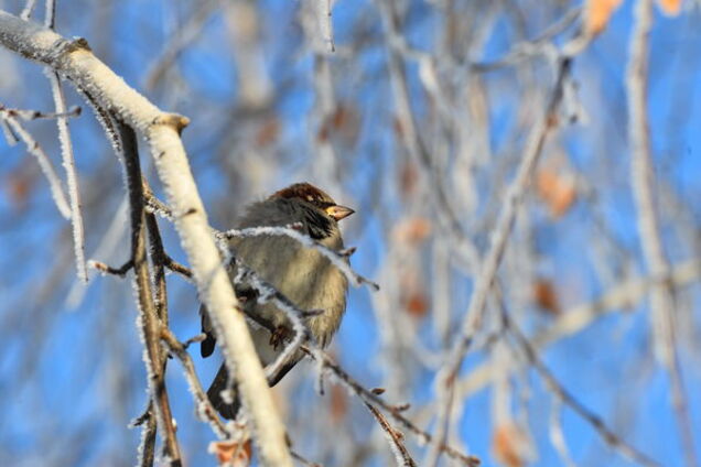 Прогноз погоди на лютий-2018