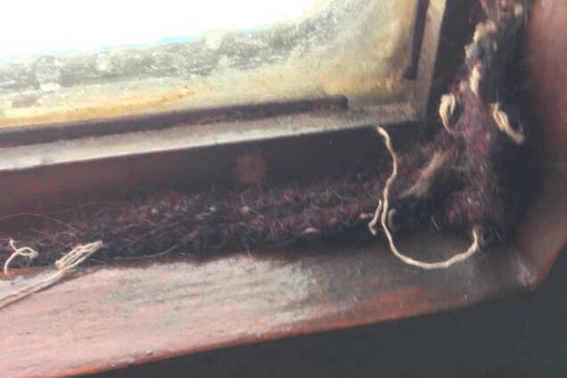 'Вонище описать сложно': сеть возмутили ужасные условия в поезде 'Укрзалізниці'