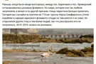 Новости Крымнаша. Крымнаш превратился в тыкву, оккупанты — в мышей, а царь — в крысу
