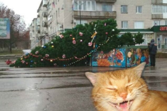 Анекдоты и приколы за 4 января: лучшее из соцсетей