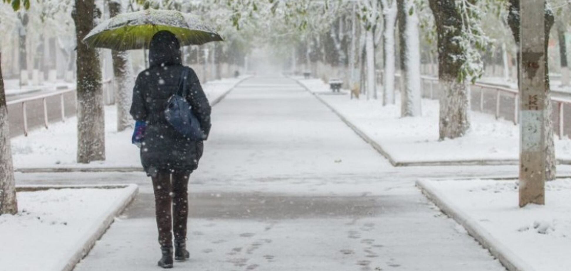 Быстрее, чем на всей Земле: синоптик предупредил о температурной аномалии в Украине
