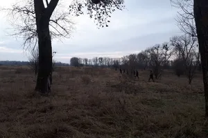 Убийство Ноздровской