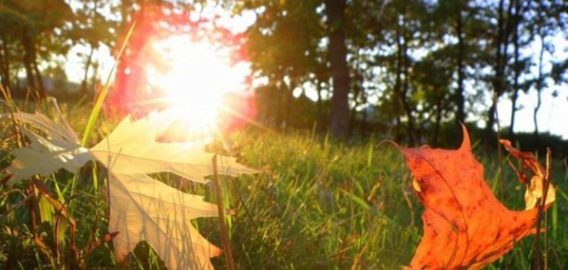 До +22 °: синоптики повідомили, в яких областях України потеплішає
