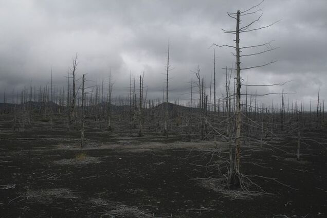 Нове лихо в Криму: екологи забили на сполох