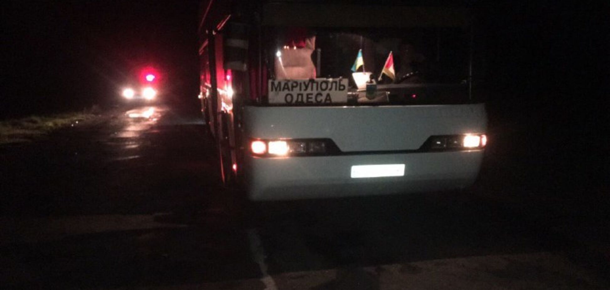 На трассе в Запорожской области пьяный пешеход попал под колеса рейсового автобуса