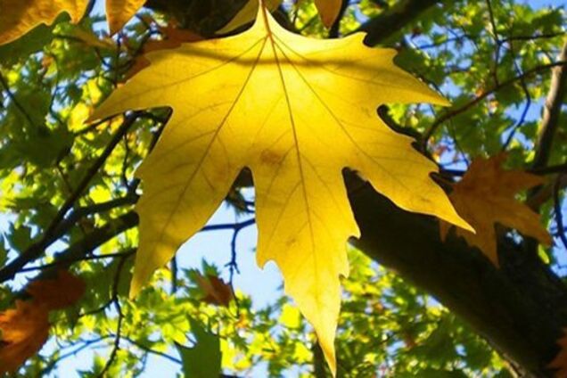 ''Будьте особливо уважними'': синоптик попередила про зміни погоди в Україні