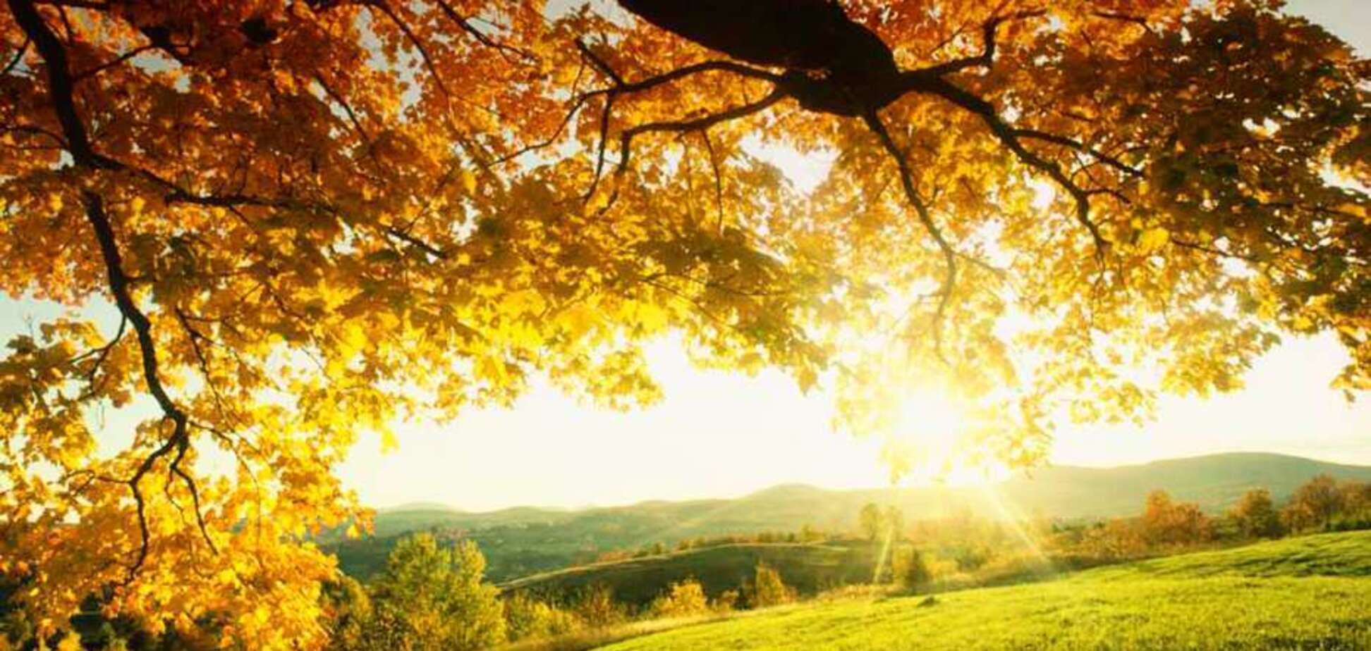 Резко потеплеет: синоптики спрогнозировали изменение погоды в Украине