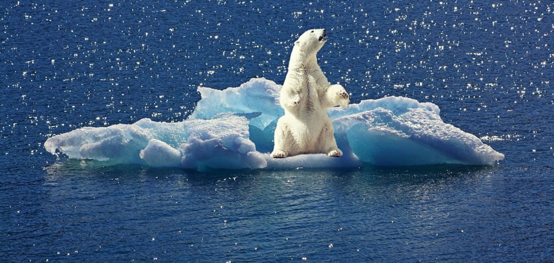 Сейчас как затрясет планету-матушку