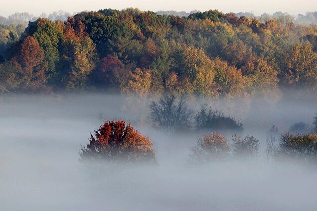 ''У нас чудесные бабы!'' Синоптик предупредила о резкой смене погоды в Украине на выходных