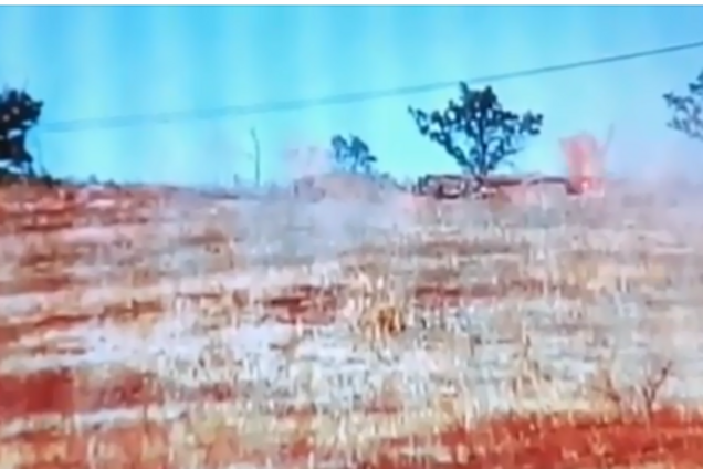 ВСУ уничтожили позицию террористов на Донбассе: момент попал на видео
