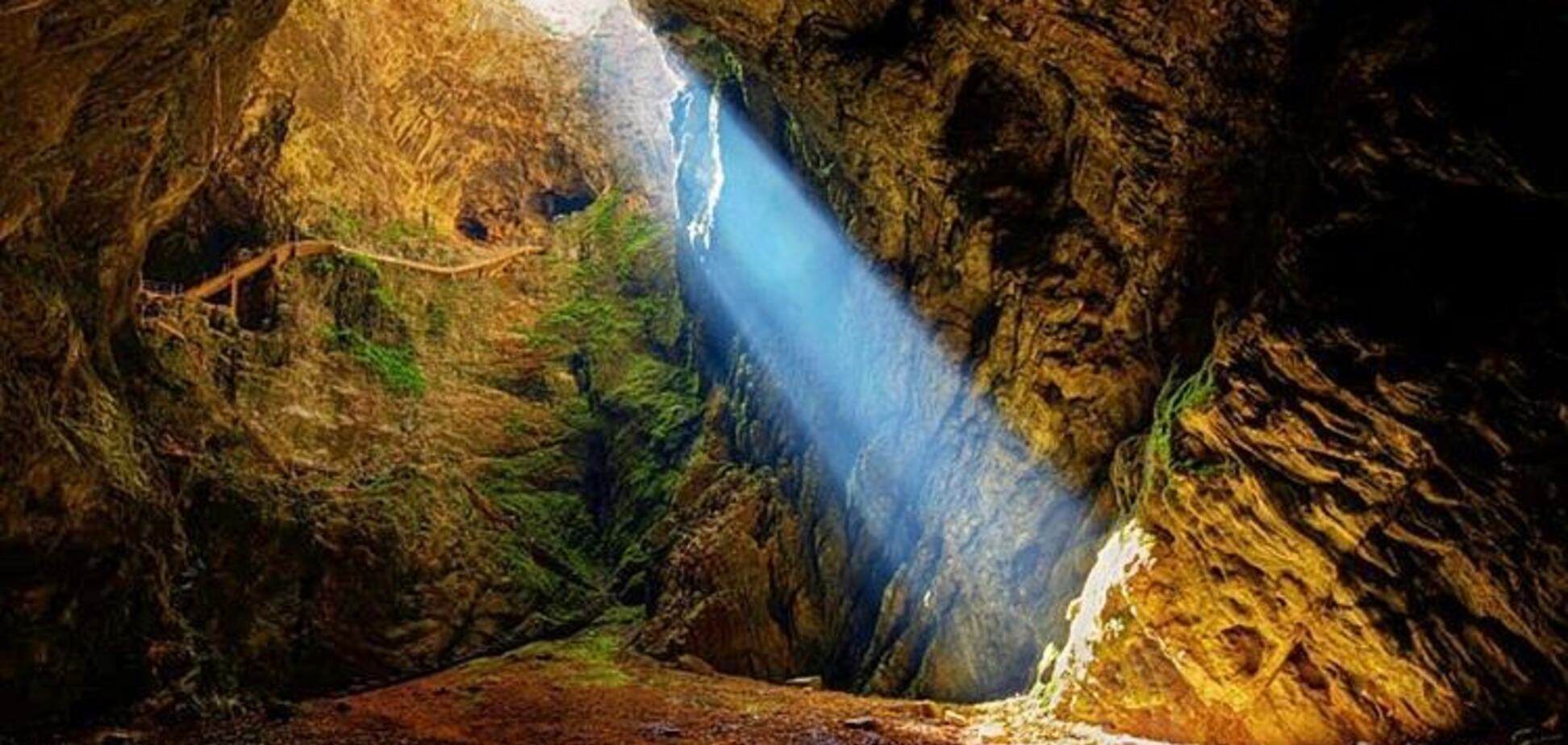 Вышло на приманку: ученые обнаружили ранее неизвестное пещерное существо