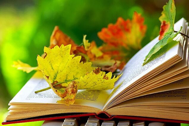 До +23: синоптики дали теплый прогноз по Украине