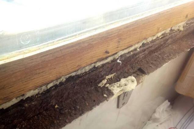 ''Страна дураков'': в УЗ позабавили объяснением серьезного ЧП в поезде