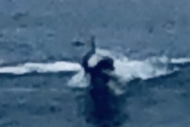 'Такого не видел!' На пляже в США заметили загадочное существо