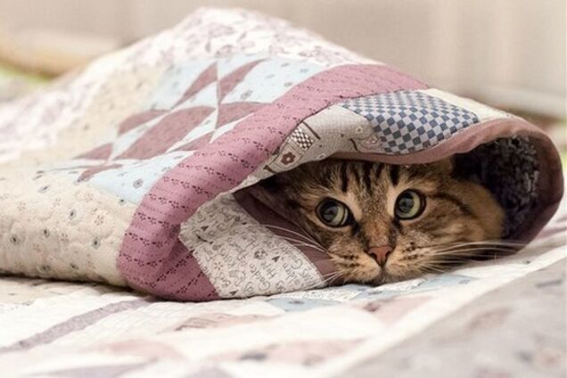 ''Літо посеред осені закінчується'': синоптики дали точний прогноз про похолодання у Києві