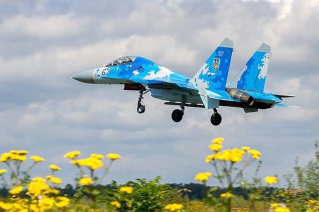 Они совершили последний полет в небо: в Украине почтили жертв крушения Су-27