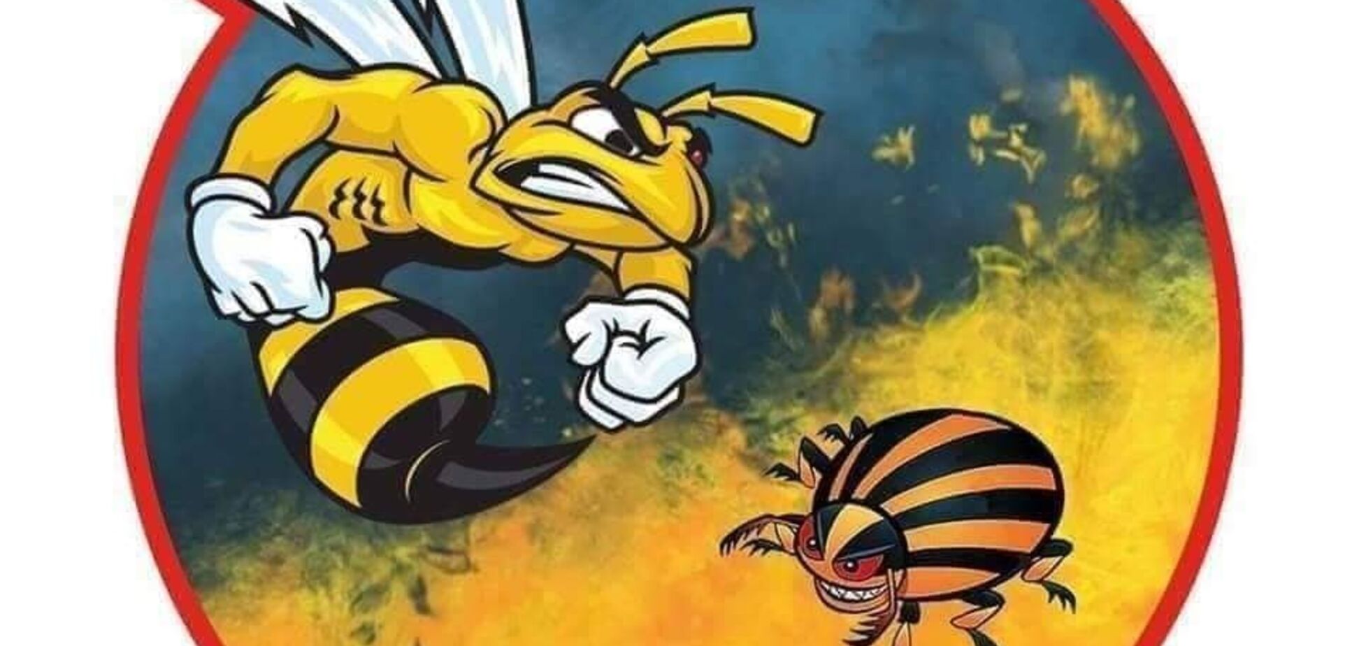 На Донбассе ликвидирован террорист 'Востока': офицер ВСУ показал фото