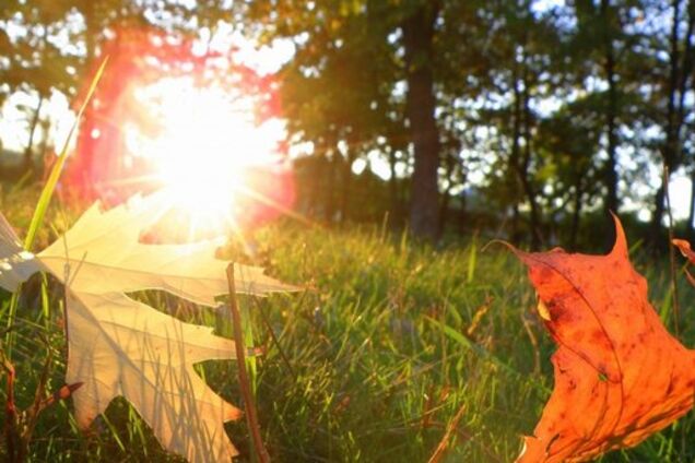 Конец бабьего лета: синоптик дала точный прогноз погоды для Украины