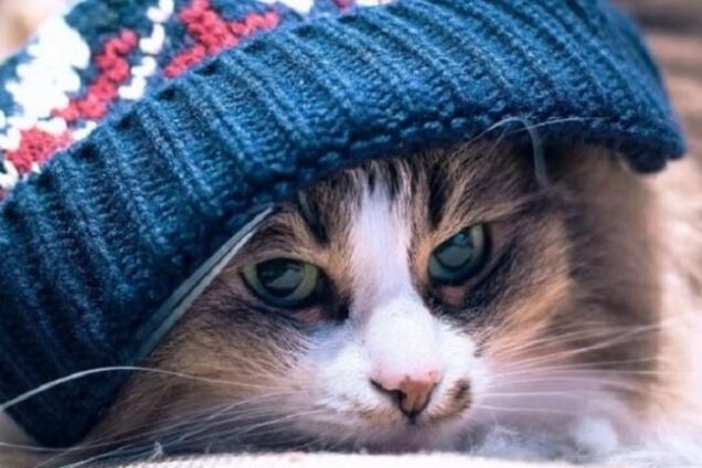 Йдуть справжні холоди: синоптик уточнила прогноз в Україні