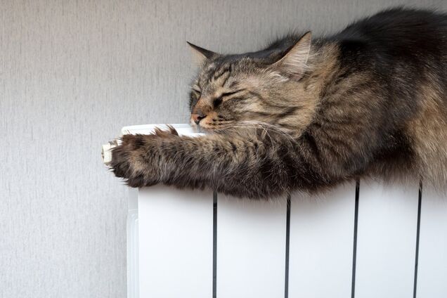 Вартість опалення в Україні підскочить: скільки заплатимо