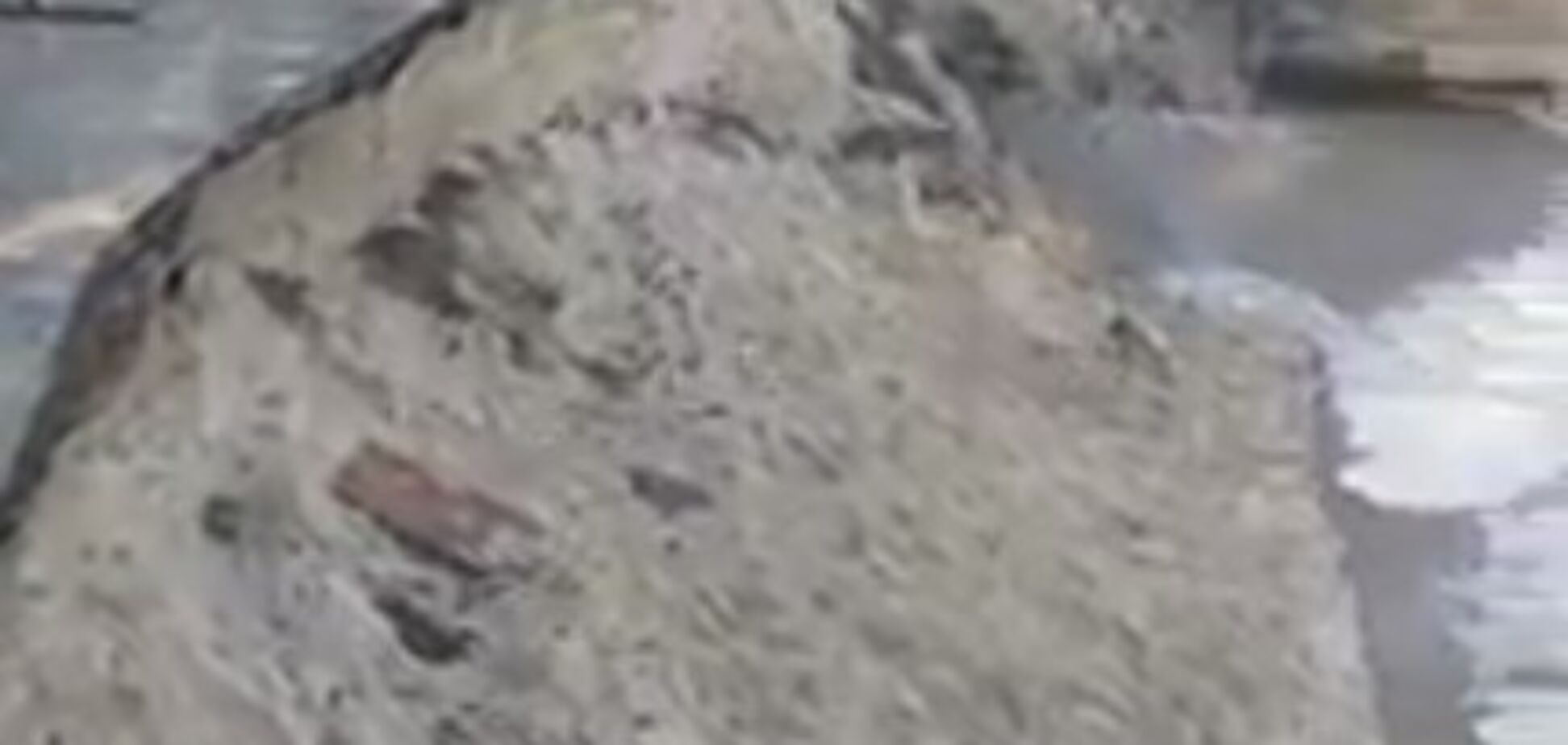 Армагеддон на Борщаговке: в Киеве произошло крупное ЧП