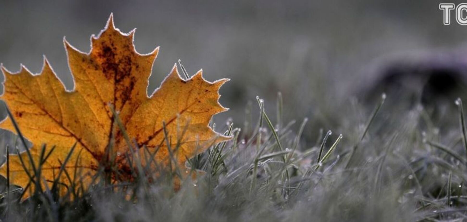 До -12: синоптики повідомили про різке похолодання в Україні в середині жовтня