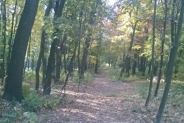 Надежда на освобождение становится все призрачней