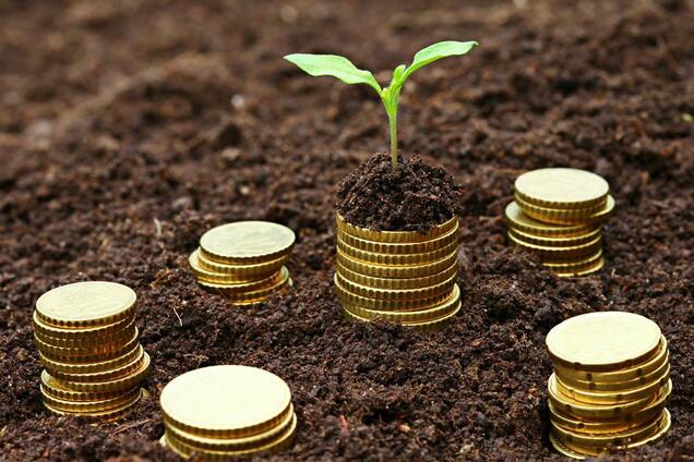 Как будет расти экономика Украины: озвучен прогноз на ближайшие годы