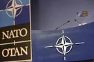 Путина никто не боится: НАТОвцы прихлопнут зеленых человечков, как мух