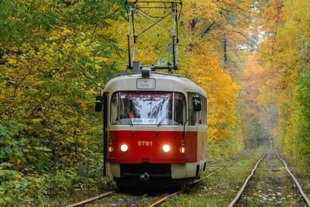 У Києві пільговикам можуть 'урізати' безкоштовний проїзд у транспорті: що відомо