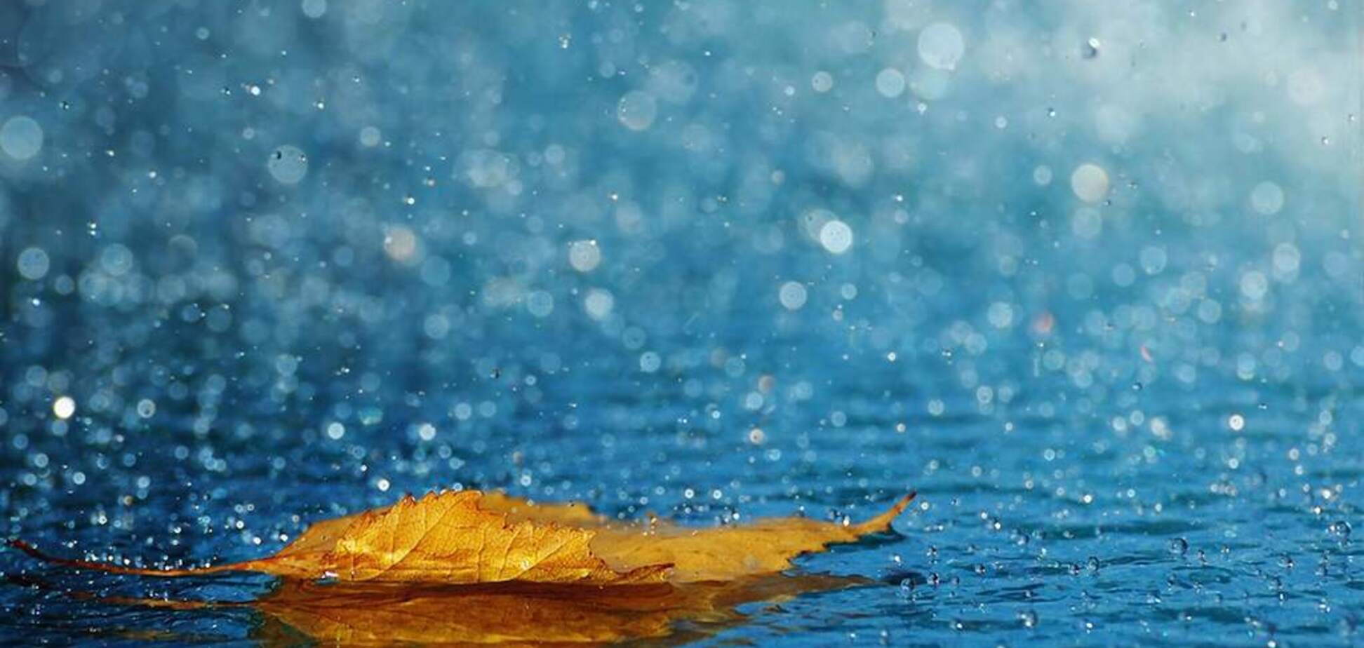 Похолодание и дождь: синоптики уточнили прогноз погоды в Украине