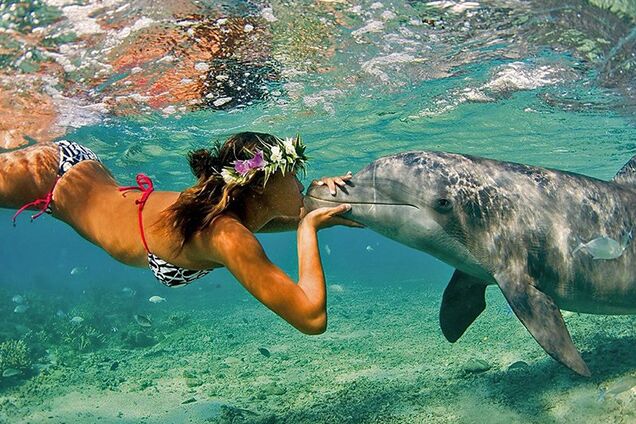 Лучшие страны для путешествий в 2019 году: опубликован список