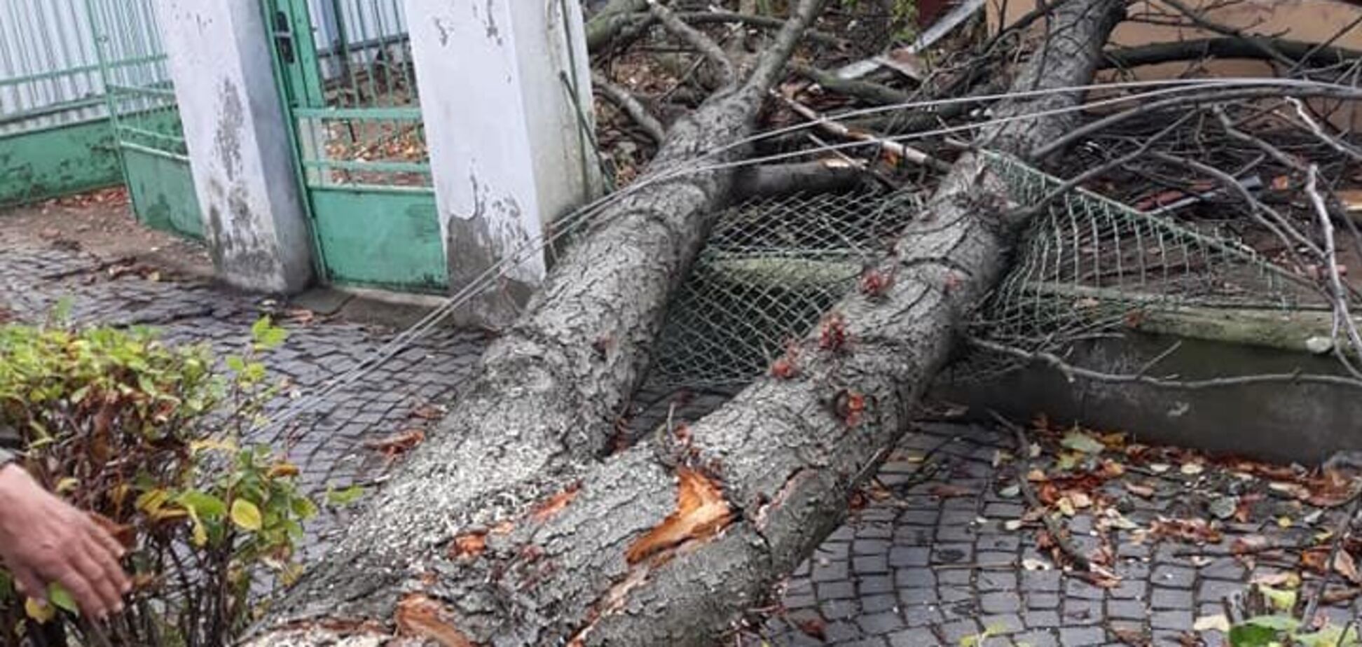 Ужгородом пронісся ураган: наслідки стихії