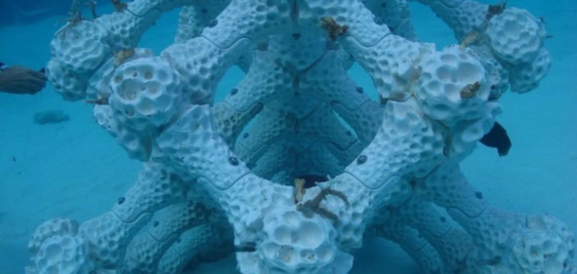 3D-принтер спасет мир? Стало известно о важном прорыве ученых