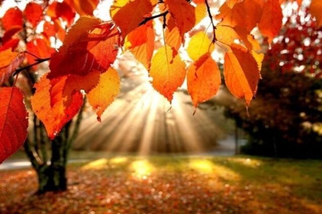 Коли повернеться тепло: синоптик уточнила прогноз погоди в Україні