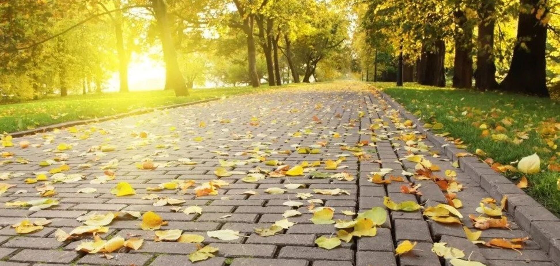 Йде потепління: озвучено прогноз погоди в Україні