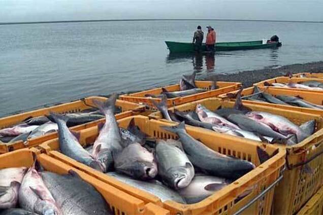 Почему Украина до сих пор делит рыбу с Россией?