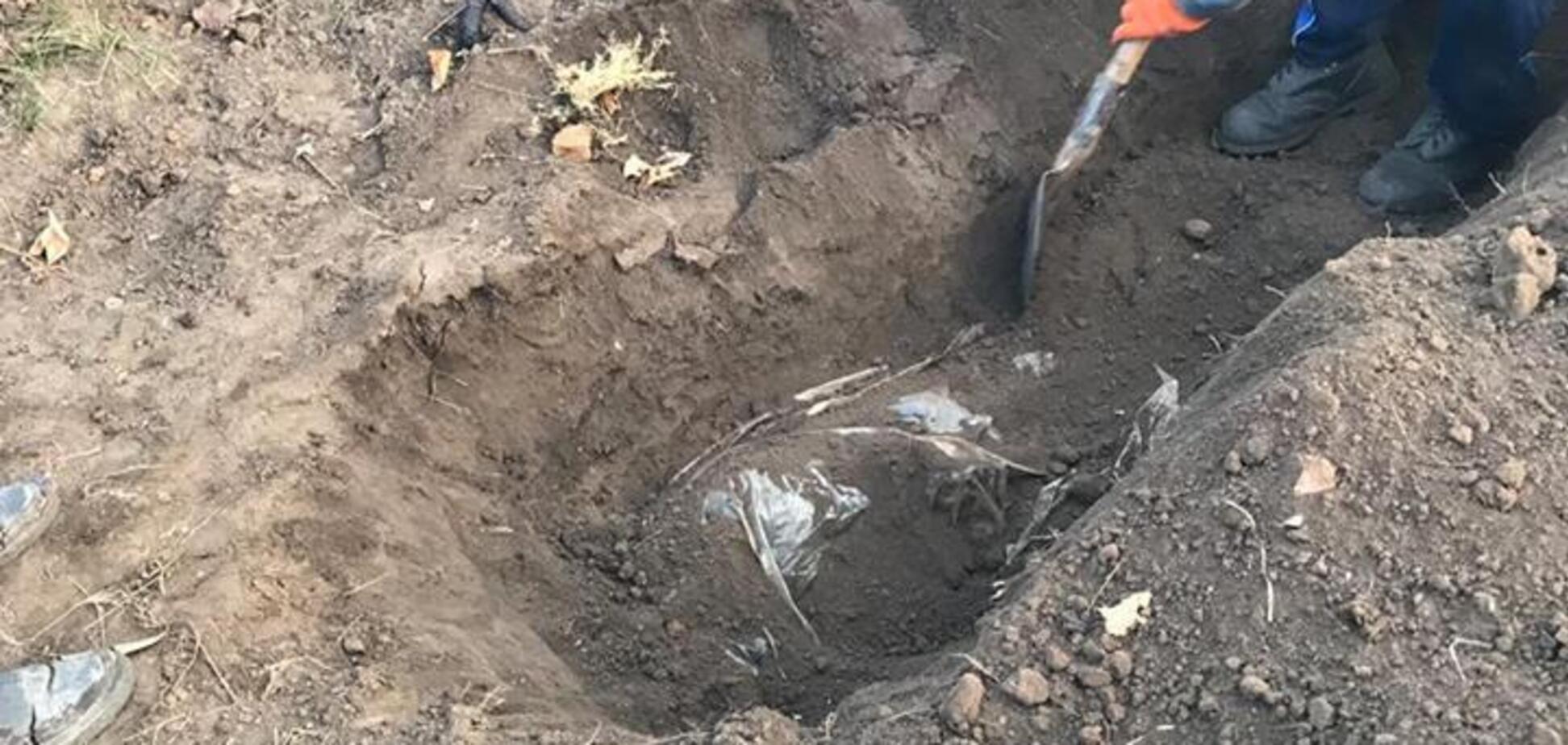 Відрізав вуха і згодовував псам: спливли нові деталі звірячих вбивств на Дніпропетровщині