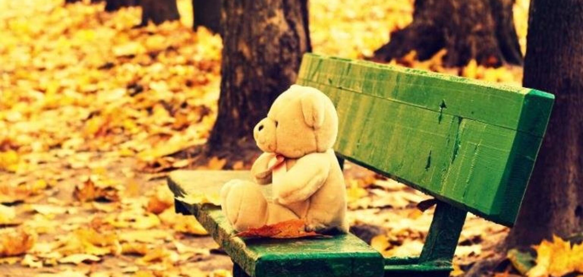 Осенняя депрессия: взгляд изнутри