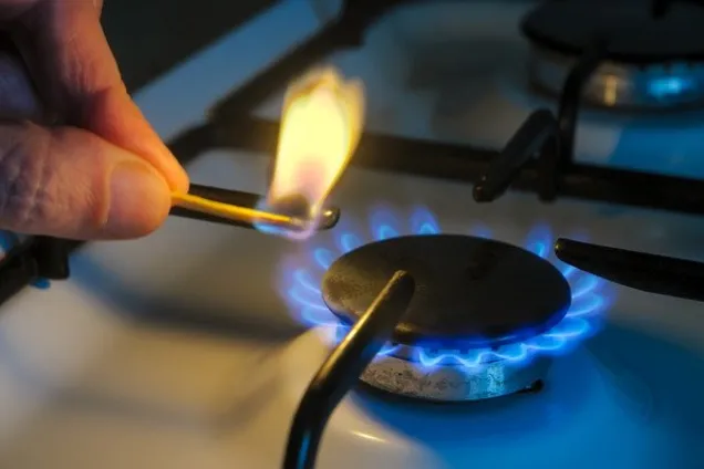 Українська біомаса чи російський газ?