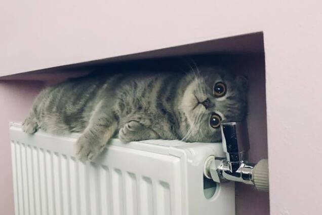 Отопление в Украине