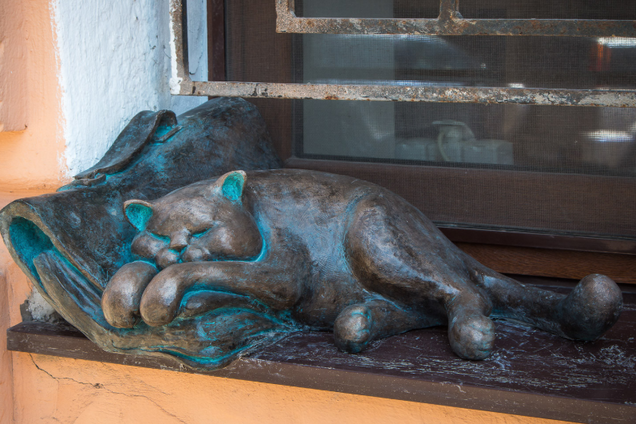 Кот Жванецкого