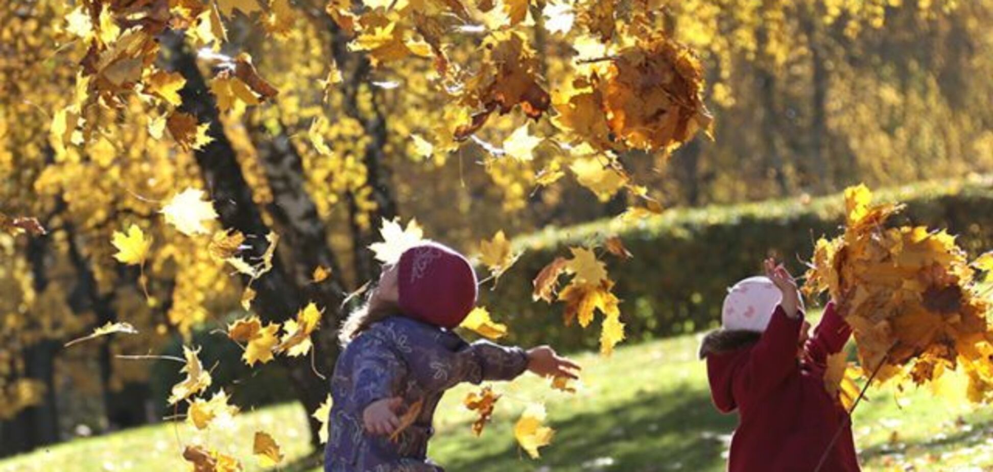 'Синоптическая благодать': появился уточненный прогноз по Украине