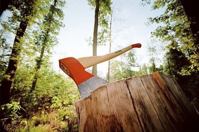 ''Вимагали припинити'': під Слов'янськом обстріляли лісорубів