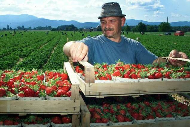 ''Все деньги уходят на еду и жилье'': как живется украинским заробитчанам и какие сюрпризы им готовят