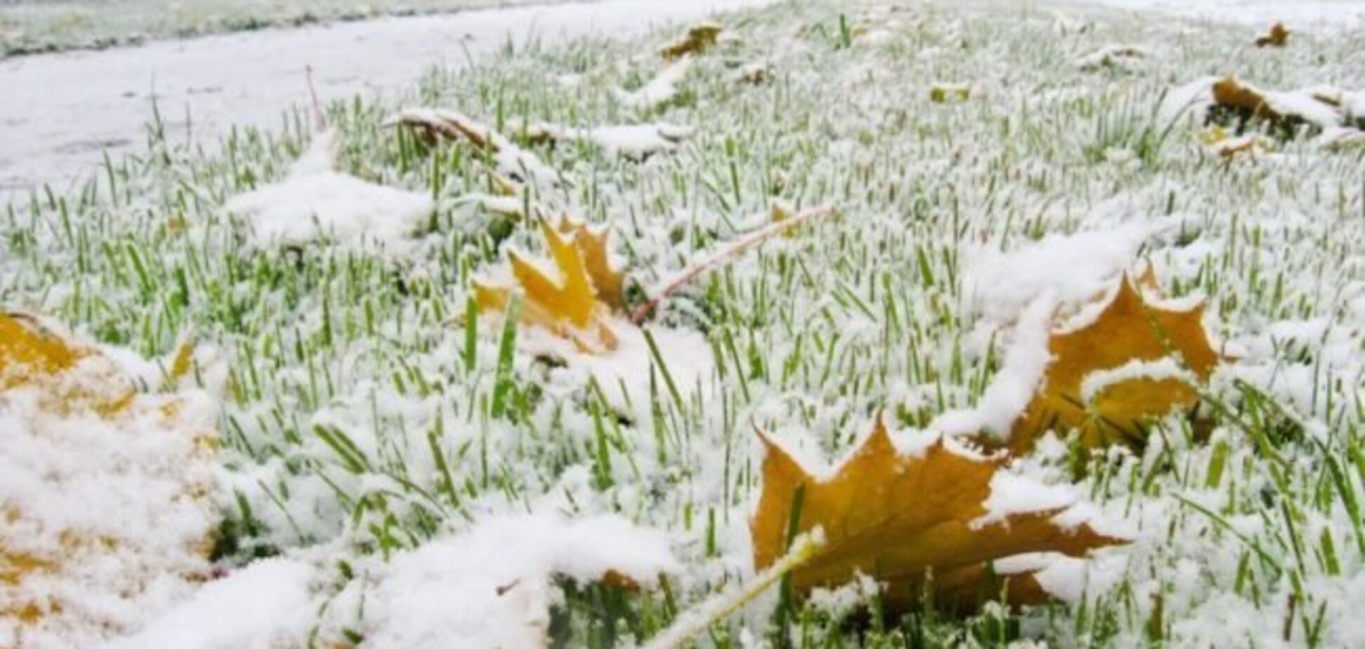 Морозы и первый снег: появился прогноз погоды на ноябрь в Украине