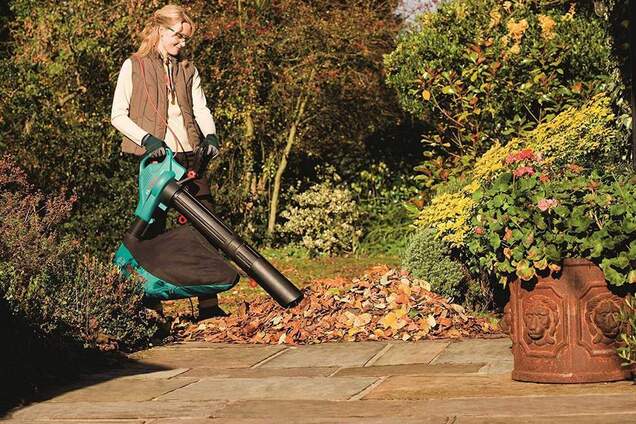 Что делать с опавшей листвой: опыт Германии, Австрии и США