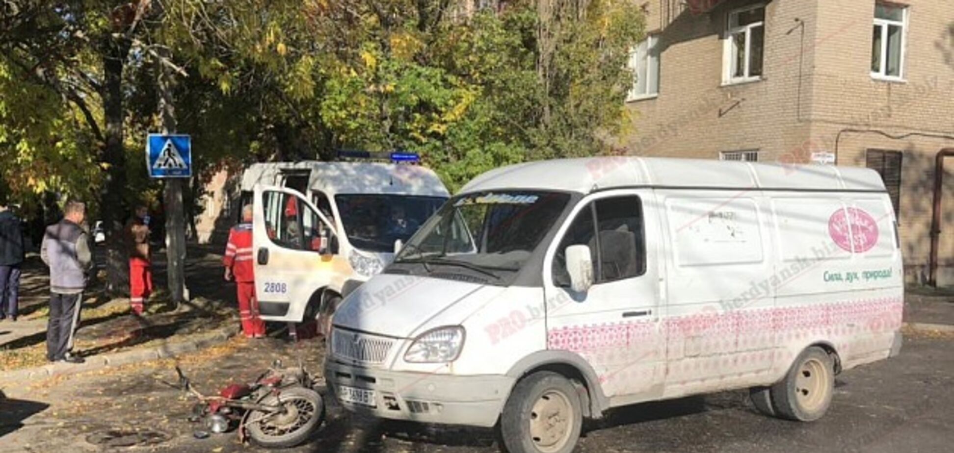 В Запорожской области водитель микроавтобуса сбил мотоциклиста 